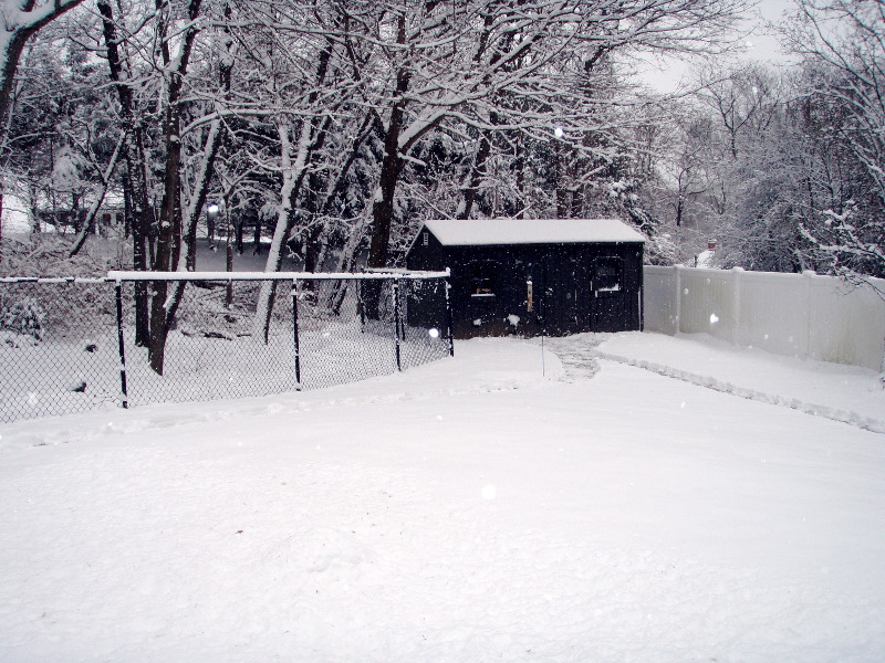 Back Shed