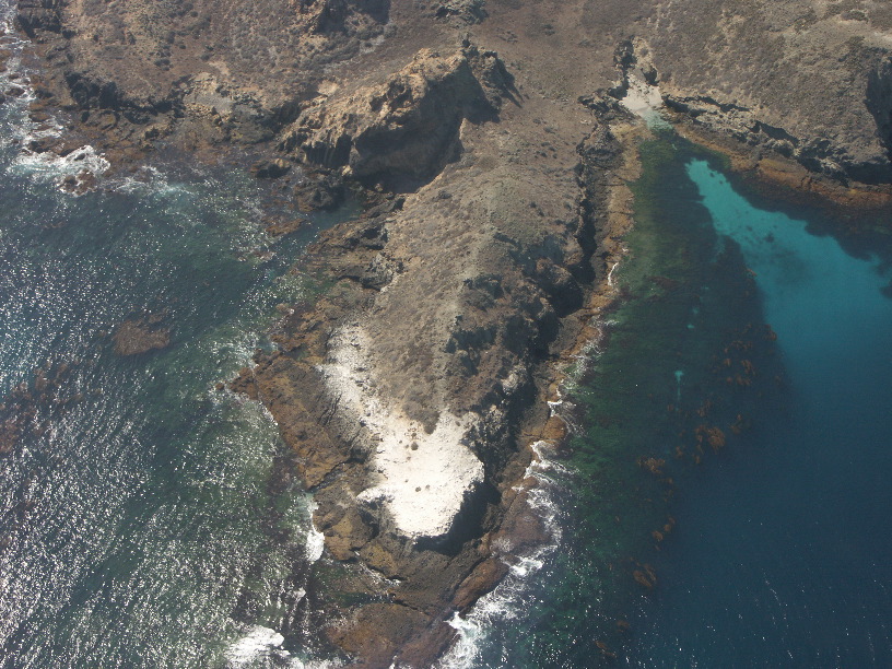 West Coast_1