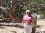 Grand Canyon 13