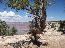 Grand Canyon 14