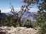 Grand Canyon 19