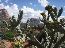 Sedona 11