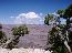 Grand Canyon 8