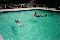 Pool2