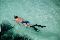 Snorkeling5
