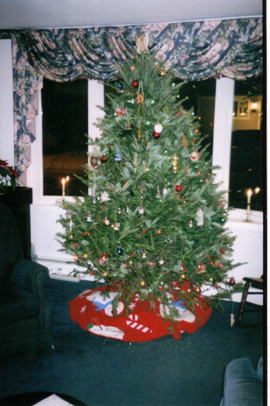 Christmas05_19