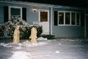 Christmas05_18