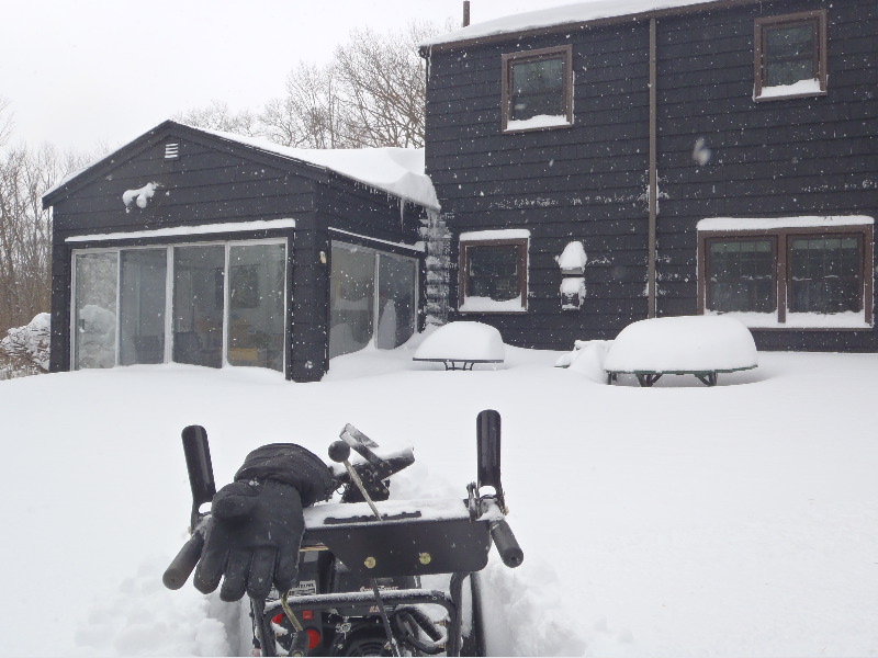 Still Snowing 9 Feb 3PM