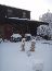 Dec 6th Snow 2