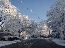 Dec 6th Snow 3
