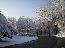 Dec 6th Snow 5