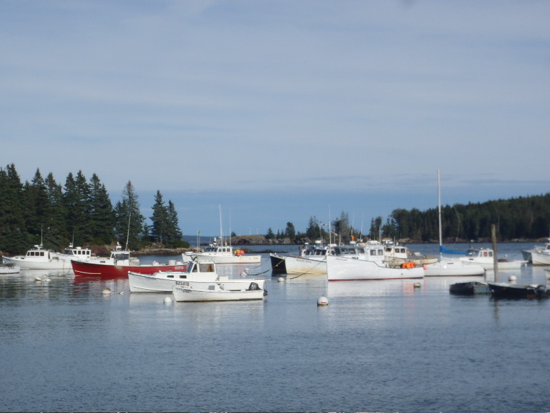 Vacation in Maine 7