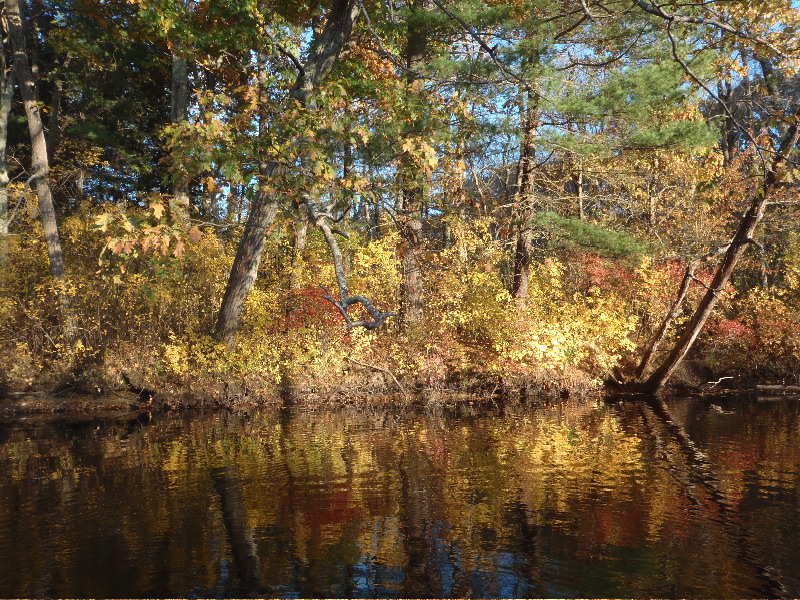 Fall Fishing Ipswich River 4