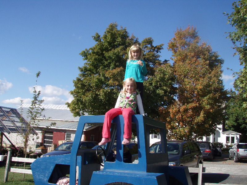 Orchard playground 2