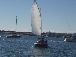 Sea Dog under sail