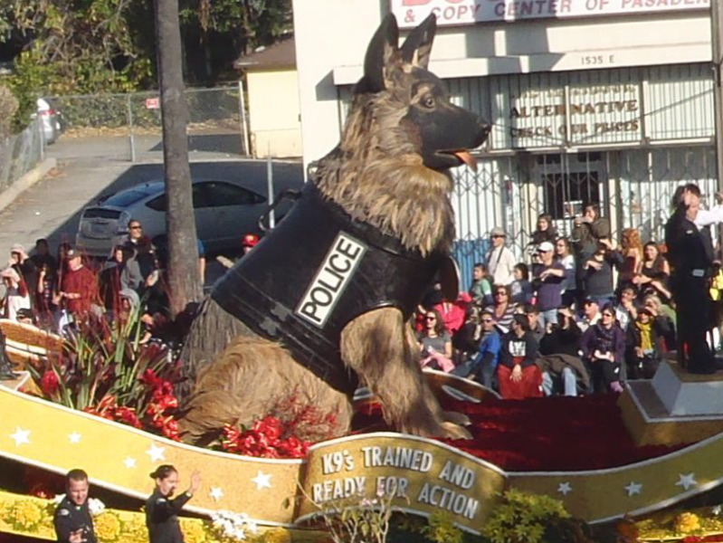 125th Rose Parade 7