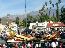 125th Rose Parade 6
