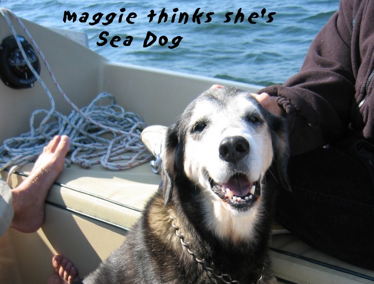 MaggieOnSeaDog