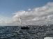 FallSailWithReef4