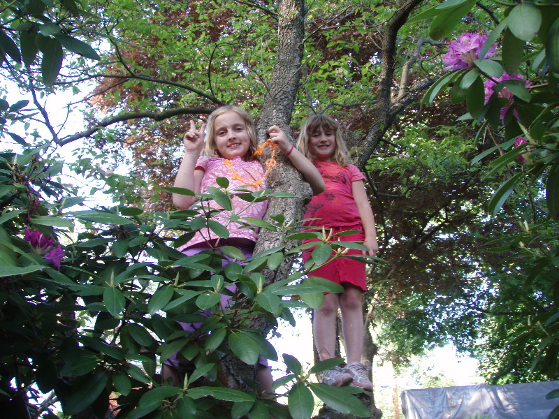 Tree Climb 3