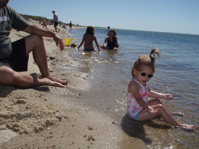 Hardings beach 4