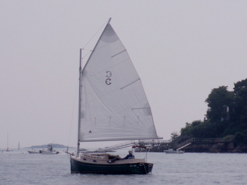 Light wind