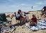 Plum Island 4
