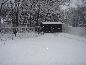 January Snow Shower