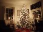 First Christmas In Peabody